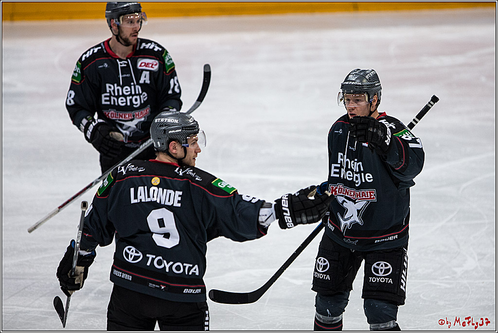 DEL, Koelner Haie - Adler Mannheim, 05.02.2017